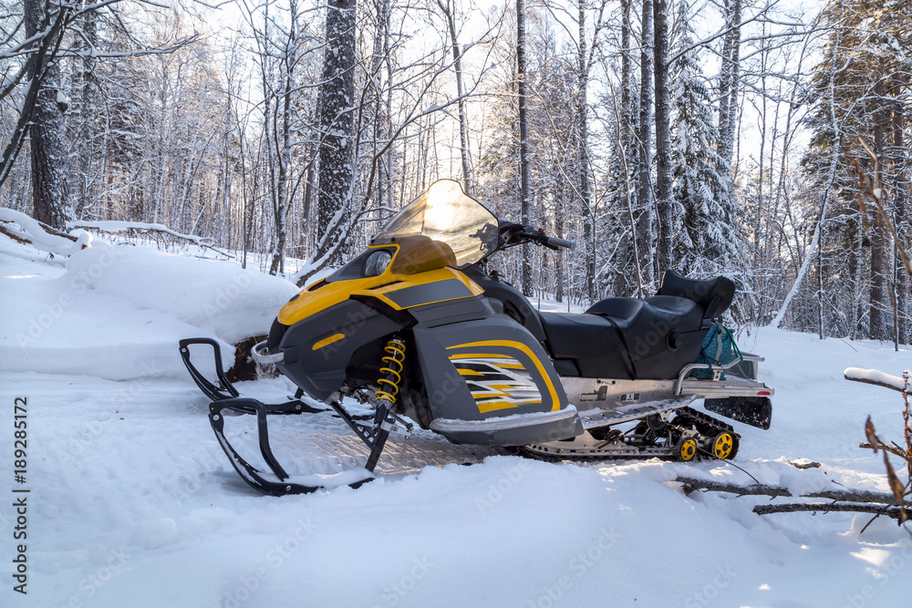 Picture with a snowmobile