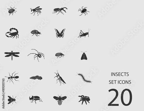Insects set of flat icons. Vector illustration © kadevo