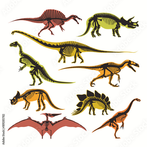 Dinosaurs skeletons and silhouettes vector flat isolated icons of tyrannosaurus  pterodactyl and brontosaurus