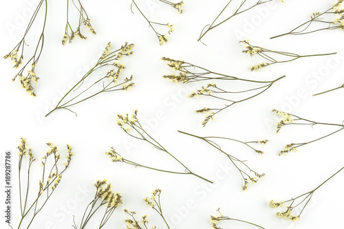 Yellow limonium caspia flowers with branches pattern on white background