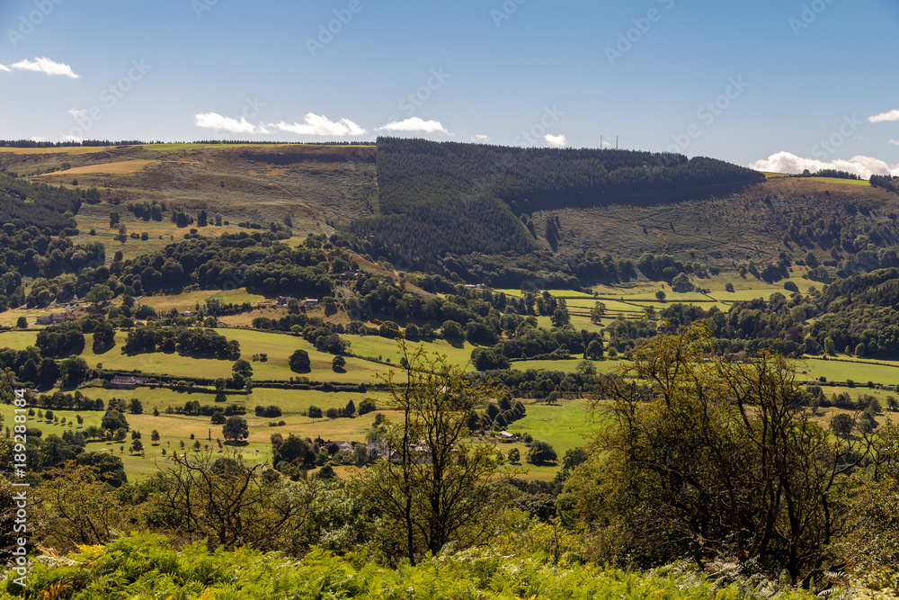 Obraz premium Denbighshire landscape seen from the Panorama Walk near Llangollen, Denbighshire, Wales, UK