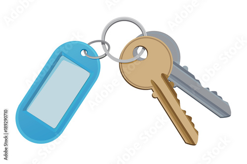 Key and keychain. Vector illustration isolate on white