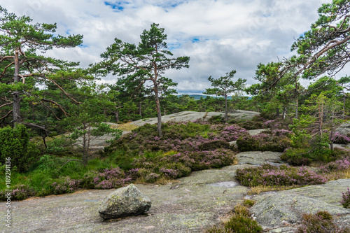 Norway, Baneheya hillside view