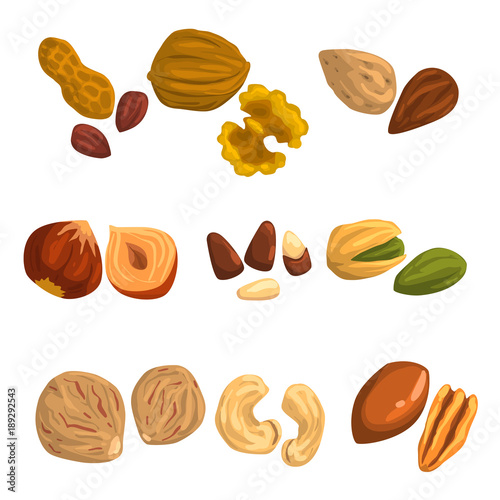 Flat vector icons of nuts and seeds. Hazelnut, pistachio, cashew, nutmeg, walnut, brazil nut, pecan, peanut and almond. Organic food. Vegetarian nutrition