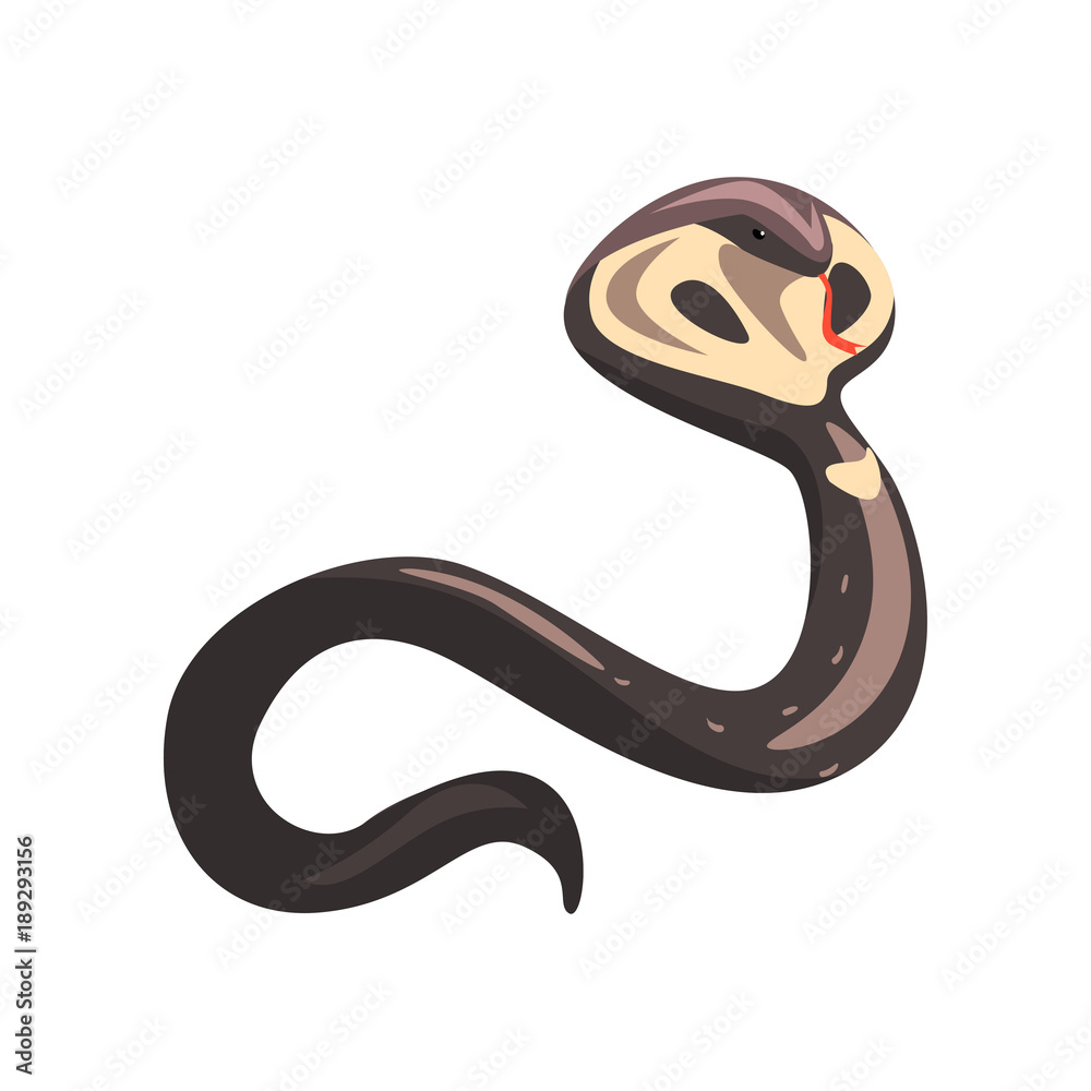 Fototapeta premium Cartoon naja or king cobra with tongue out. Longest venomous wild serpent with hood. Dangerous and venomous reptile. Wildlife concept. Colorful flat vector design