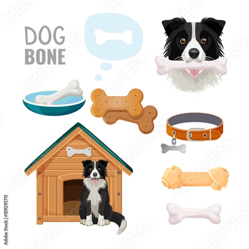 Dog bone promotional poster of zoo market goods