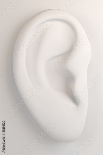 3d human ear