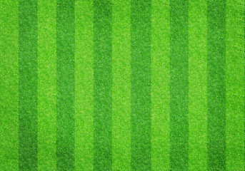 Soccer football grass field