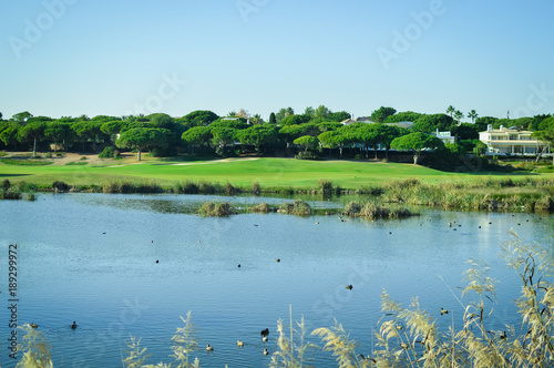 Golf field on sunny outdoors luxury lifestyle background