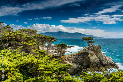 Foto Big Sur