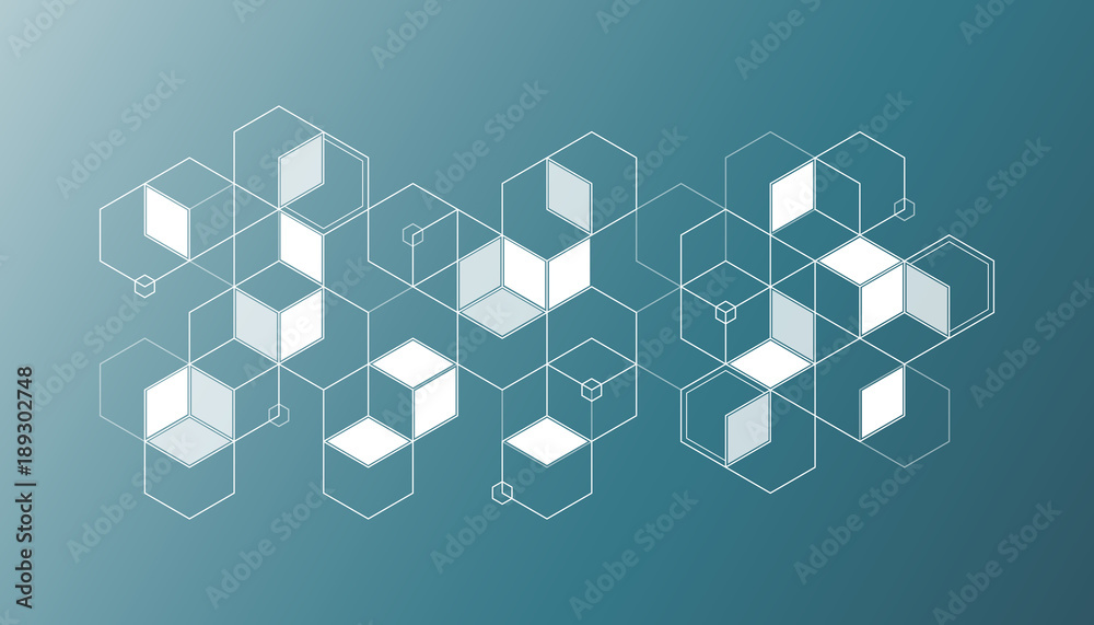 The hexagonal structure The hexagonal structure