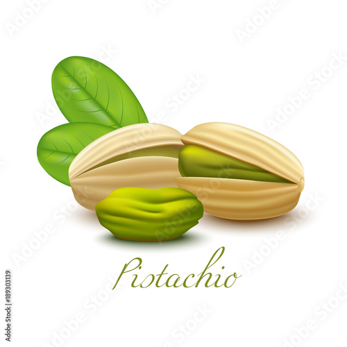 Pistachio Nuts and Leaves. Realistic Elements for Labels of Food Snacks Cosmetic Skin Care Product Design. Vector Isolated Illustration