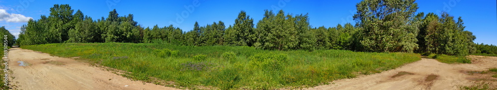 Panoramic view of unpaved road 