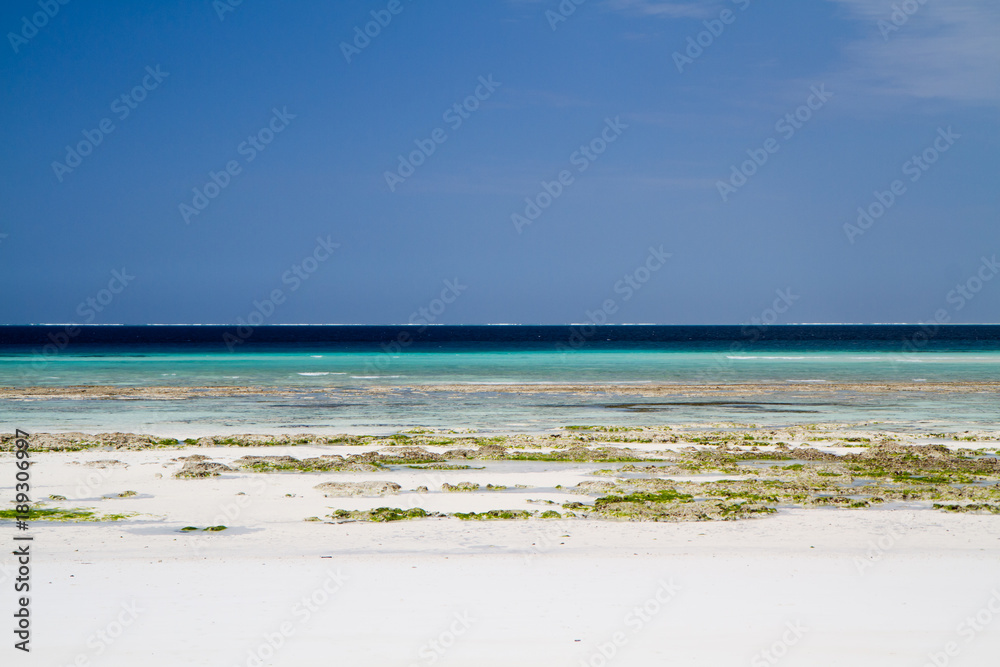 the beautiful beach and sea of zanzibar in the indian ocean the beautiful beach and sea of zanzibar in the indian ocean