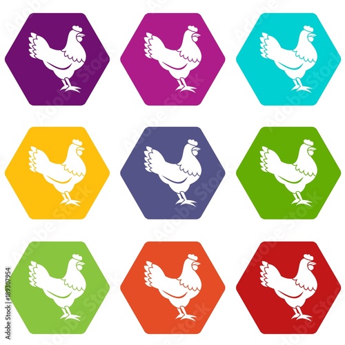 Hen icon set color hexahedron