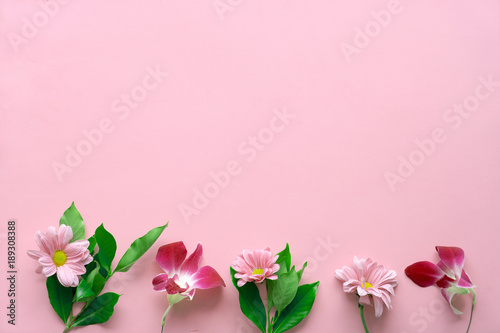 The 14th of February. St. Valentine's Day. Flowers on a pink background - fern, chamomile, asters, orchid. Top view with copy space