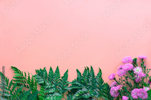 The 14th of February. St. Valentine's Day. Flowers on a pink background - fern, chamomile, asters, orchid. Top view with copy space