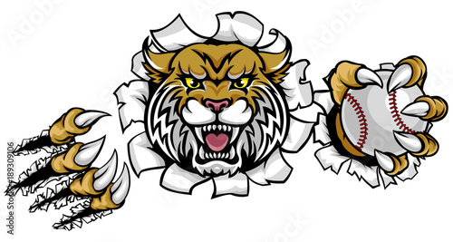 Wildcat Holding Baseball Ball Breaking Background