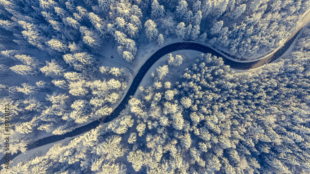 Winding road through a winter forest.