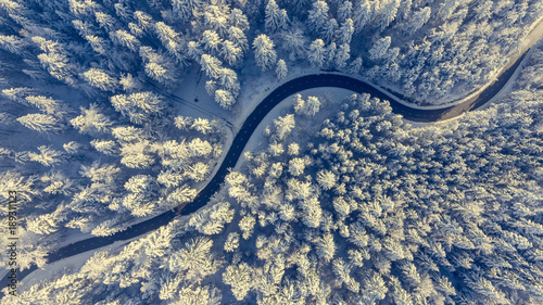 Winding road through a winter forest. © anzebizjan