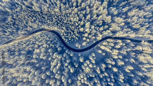 Winding road through a winter forest. © anzebizjan