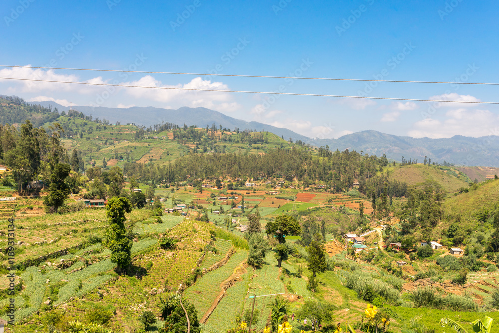 Landscape in the Central Province Sri Lanka. Due to the soil fertility and the temperate climate, in the highlands, the widespread growing of tea, vegetables, fruit and flowers is usually