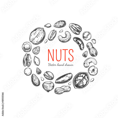 Nuts and seeds frame. Vector Hand drawn objects . Isolated on white. Modern brushpen Calligraphy. Design Template
