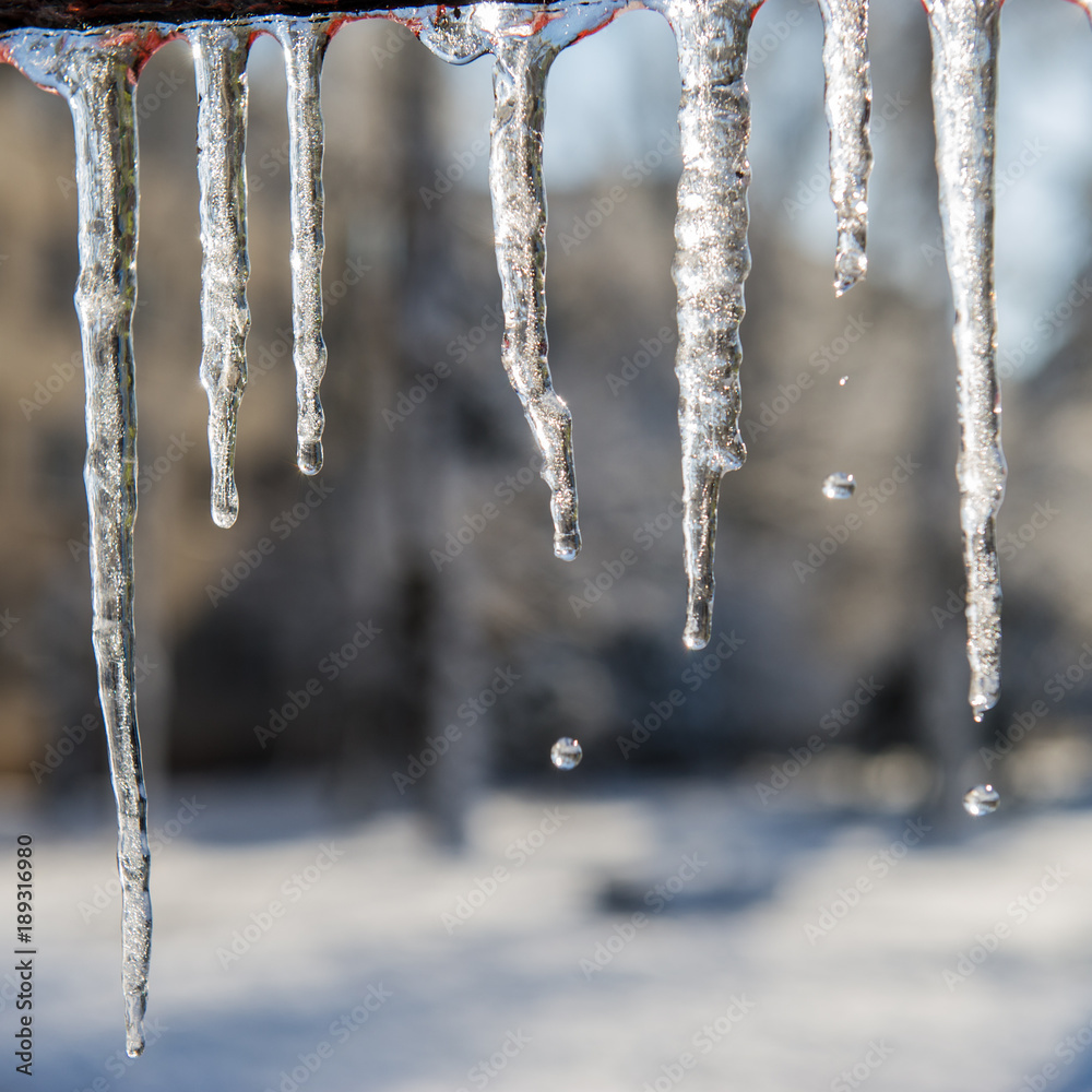melting icicles and drops of water. Winter day. melting icicles and drops of water. Winter day.