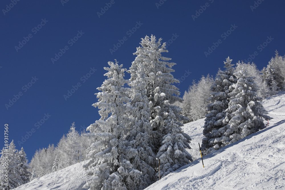 Verschneite Berg-Landschaft, Zillertal, Tirol, Österreich, Europa