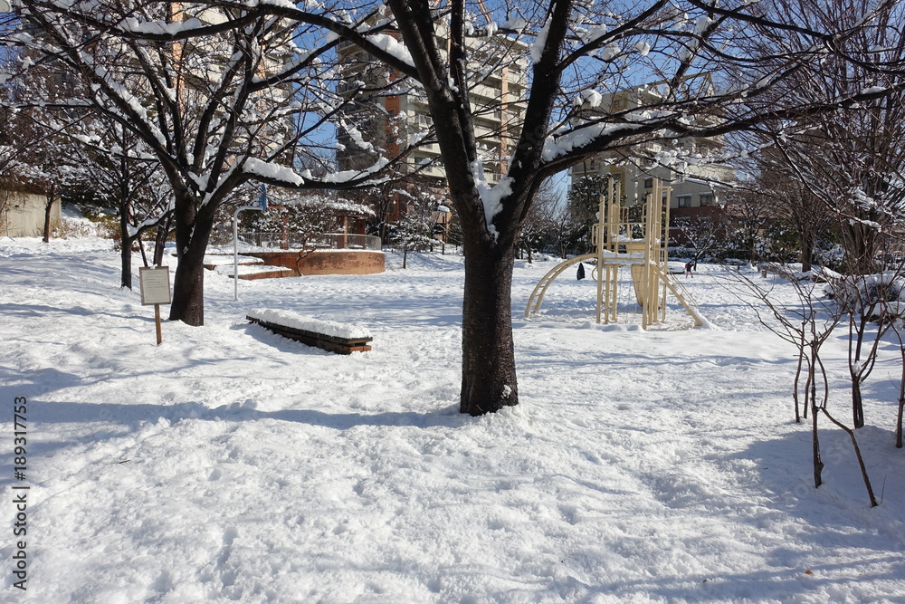 雪の日の公園