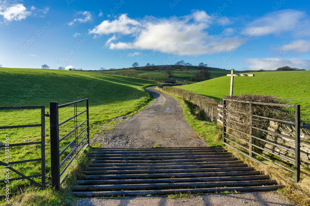 An open gate and a cattle grid leading to a country track