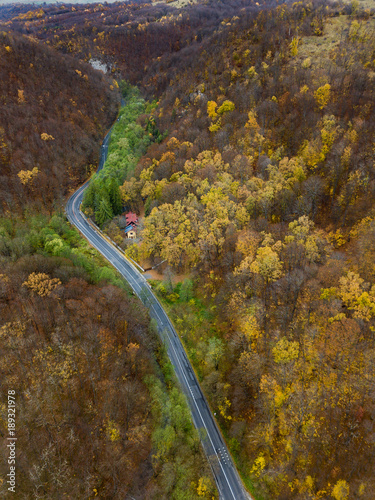 Aerial drone view of autumn colors flying over a forest in Brasov, Romania © drpsd