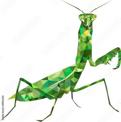 Low poly mantis, Praying Mantis from triangles, Vector graphics
