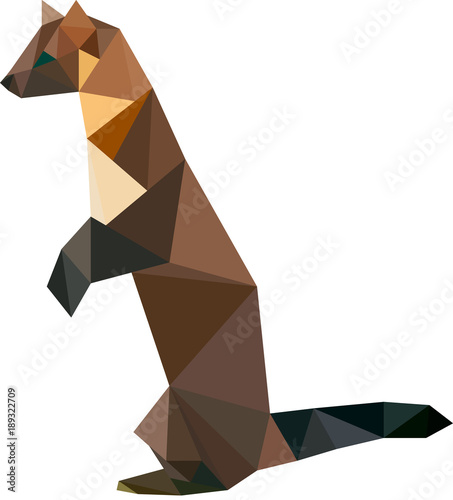 Low poly marten, Marten from triangles, Vector graphics