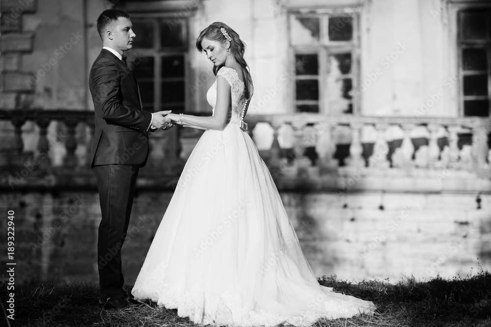 Fabulous wedding couple posing in front of an old medieval castle in the countryside on a sunny day. Black and white photo. Fabulous wedding couple posing in front of an old medieval castle in the countryside on a sunny day. Black and white photo.