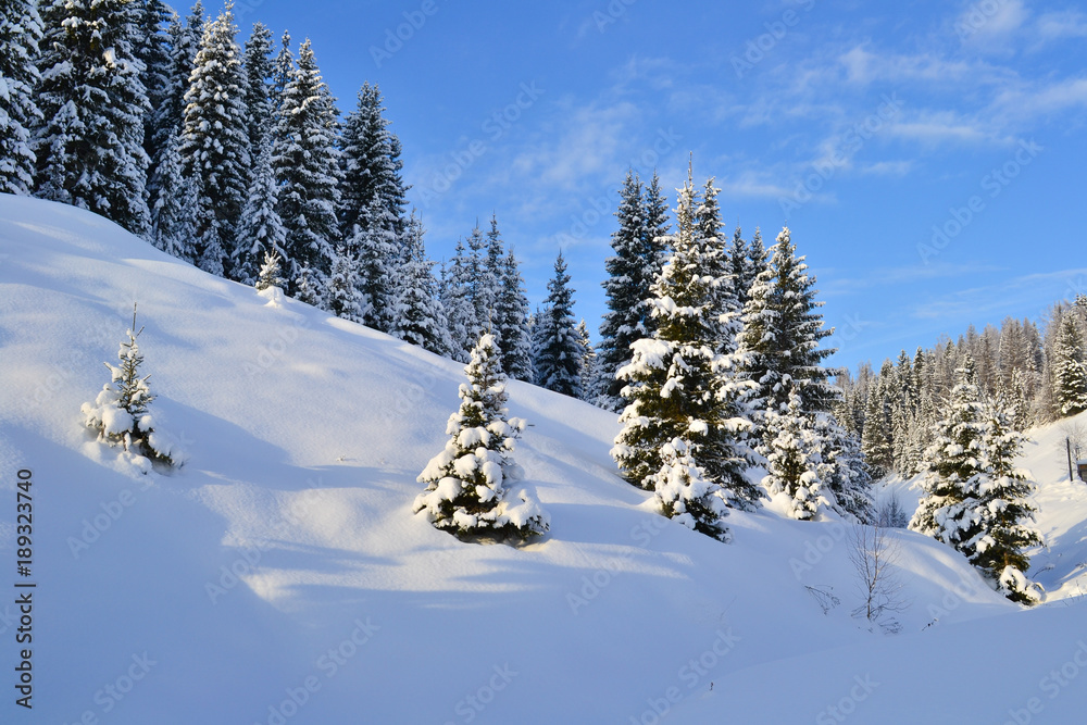 Obraz premium Winter forest in the Ural Mountains, Russia, Chelyabinsk region, Minyar. Pushkin's fairy tale