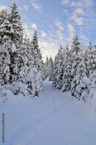 Winter forest in the Ural Mountains, Russia, Chelyabinsk region, Minyar. Pushkin's fairy tale © Alex Vons