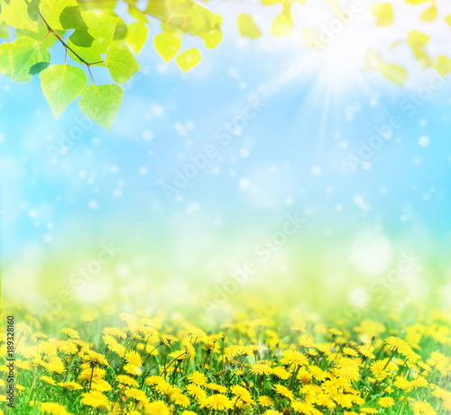 Beautiful spring pattern for design with blooming dandelions and birch leaves. Natural background.