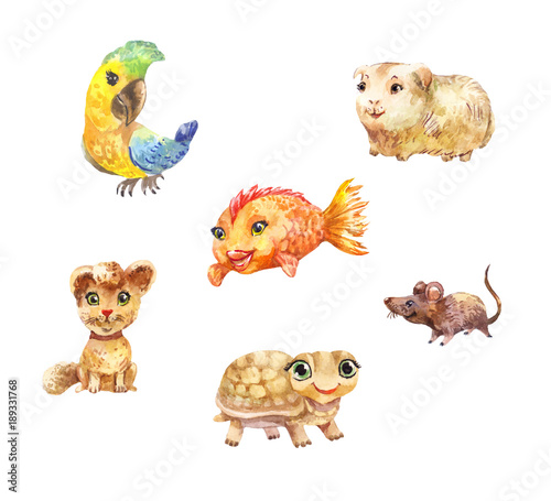 Watercolor pets  little cute illustrations suitable for children s goods  design