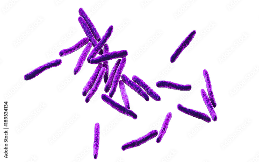 Bacteria Mycobacterium tuberculosis isolated on white background, the causative agent of tuberculosis, 3D illustration