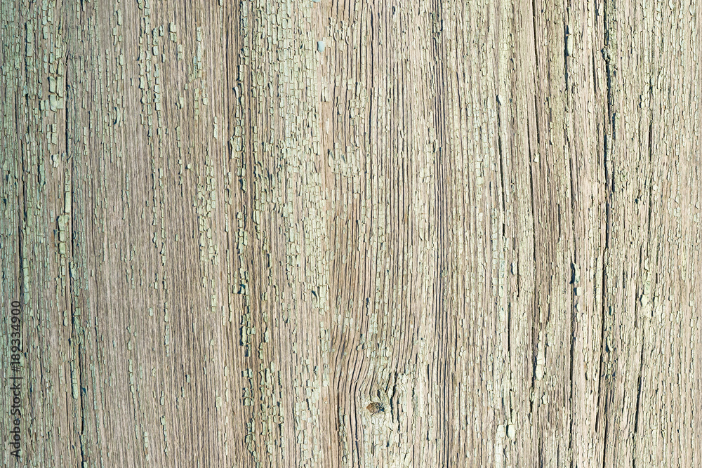 Texture of old wooden planks cracked with the remnants of light green paint, abstract grunge background, vintage