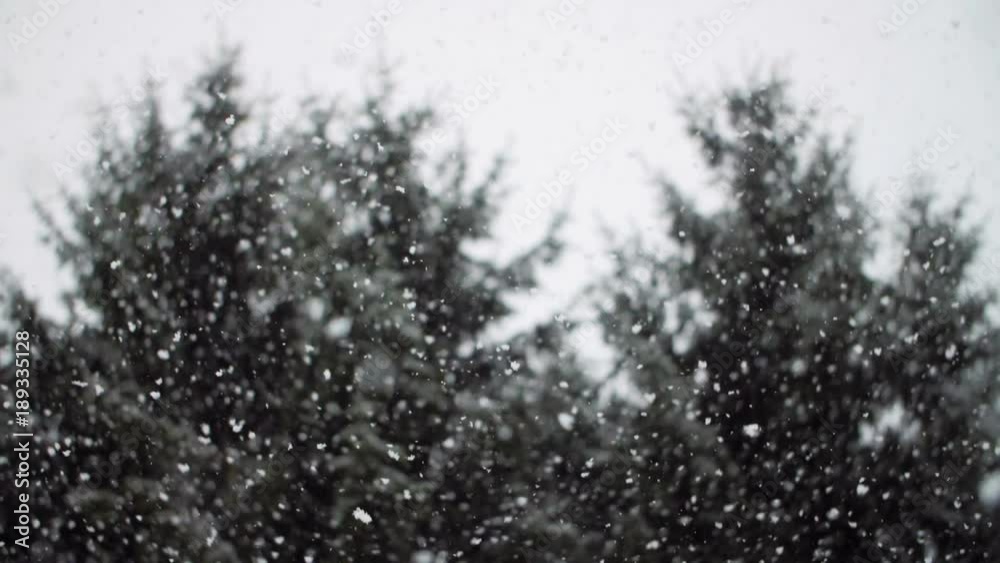 Heavy Snowfall in Slow Motion Heavy Snowfall in Slow Motion