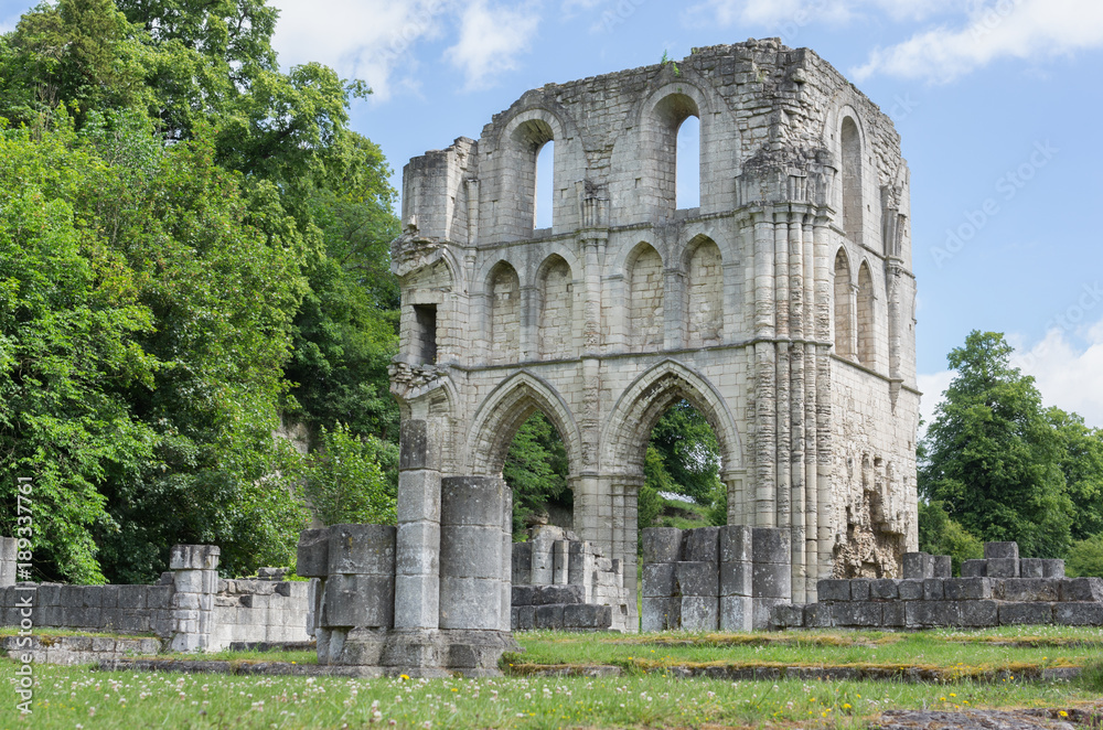 The Ruins of Roche Abbey, Maltby, Rotherham, England