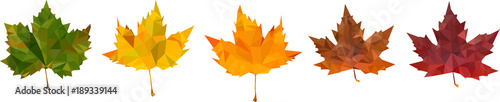 Low poly leaves, Art of autumn, Low poly fall, the passage of time, vectorgraphics