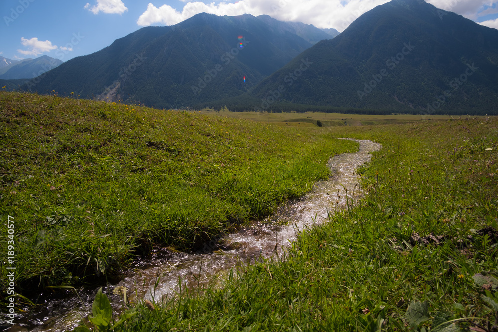 A small stream in the mountains of the North Caucasus