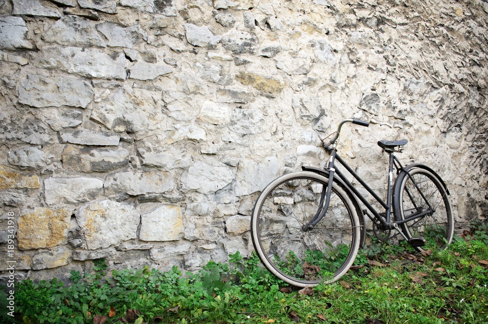 Old bike standing on grass in front of old stone wall