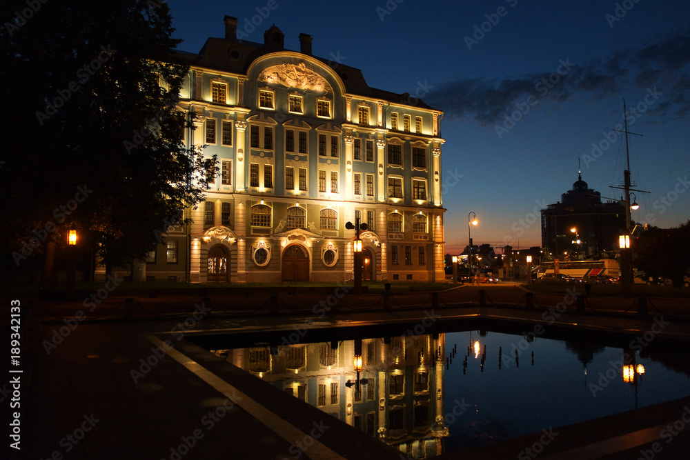 Night Petersburg in the center