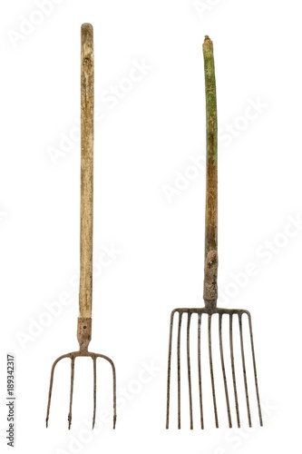 Canvas Print Old dirty pitchforks isolated on white background.