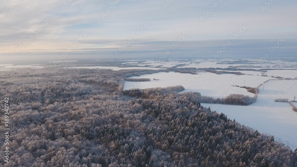 Winter forest, field. Aerial view Winter landscape countryside, forest, field. Winter landscape, field, forest, trees covered with frost snow