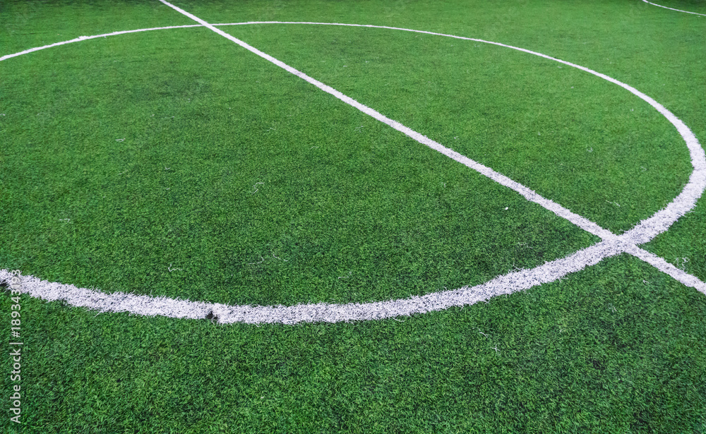 Soccer field with textured grass